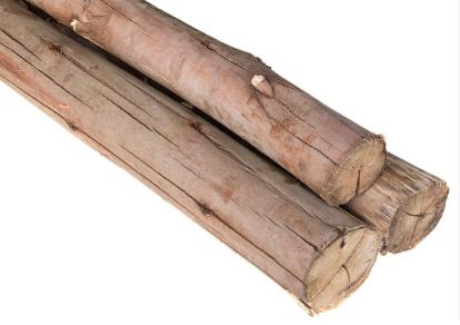 ESCORA DE MADEIRA EUCALIPTO 3M UNIDADE (JS) #