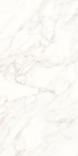 PORCELANATO POLIDO HD RETIFICADO 120X240 CALACATA BLANC GAUDI (2.88)*