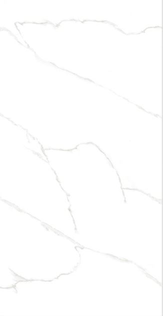 PORCELANATO CALACATA ENDLESS POLIDO RT 60X119 GAUDI (2,15) VEIO INFINITO