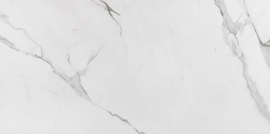 PORCELANATO PLACE ACETINADO 60X120 ELIANE (1,44)/