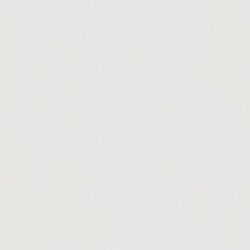 REVESTIMENTO FORMA BRANCO BRILHO 33X61 (BOLD 2MM) ELIANE (2,42)