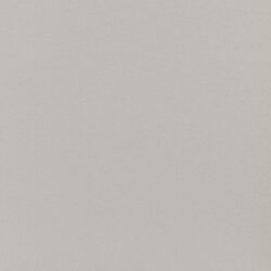 PORCELANATO MINIMUM CONCRETO NATURAL 80X80 ELIANE (1,92)/