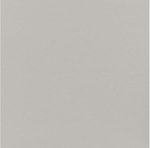 PORCELANATO MINIMUM CONCRETO NATURAL 80X80 ELIANE (1,92)/