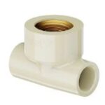 TE TRANS. AQUATHERM 22MMX3/4 TIGRE 22851837