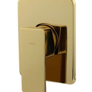 ACABAMENTO MONOCOMANDO DE CHUVEIRO DECA GOLD RAINHA 216753