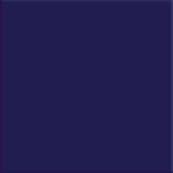 9ce13803-0c26-4215-af98-91c7643d0a46 REVESTIMENTO CER PISCINA/FACHADA 20X20CM AZUL COBALTO CERAL (1,69)