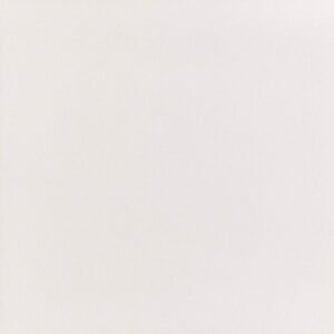 PORCELANATO BIANCO MASTER TEC POLIDO 80X80 ELIZABETH (2,56)