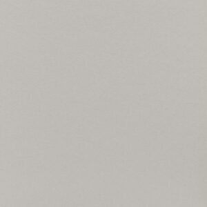 PORCELANATO MINIMUM CONCRETO NATURAL 80X80 ELIANE (1,92)/