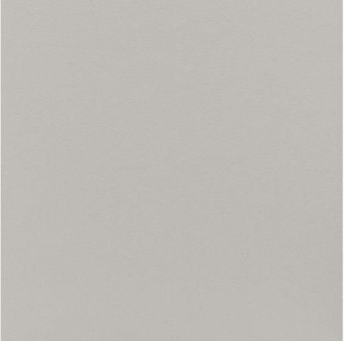 PORCELANATO MINIMUM CONCRETO NATURAL 80X80 ELIANE (1,92)/